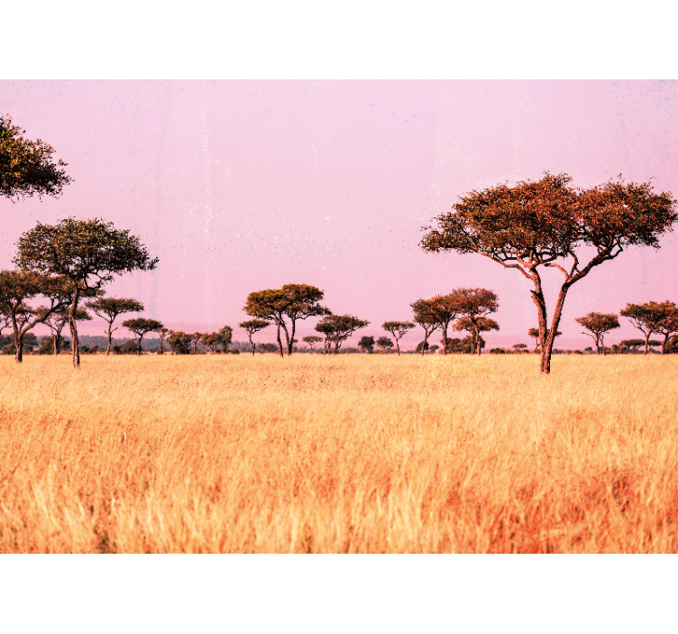 Landscape wall mural serene savanna landscape - TenStickers