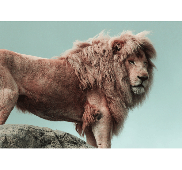 Wall mural lion majestic lion pose - TenStickers