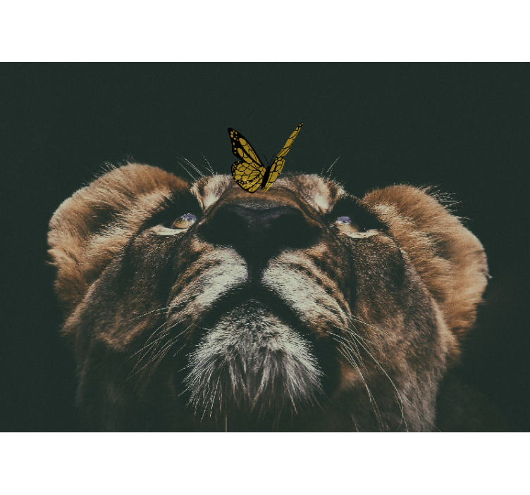 Cub with butterfly wall mural lion - TenStickers