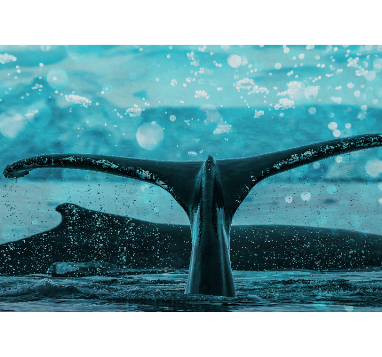 Wall mural animals whale fluke splash - TenStickers