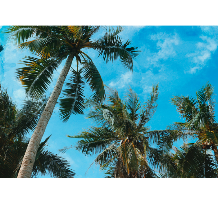 Nature wall mural palm trees against the sky - TenStickers