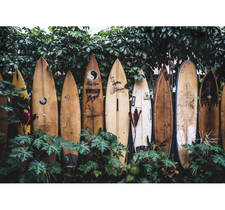 Automotive wall murals surfboards on display - TenStickers