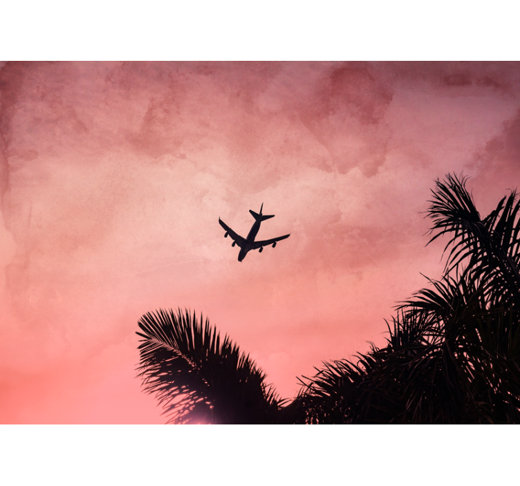 Airplane Silhouette at Dusk automotive wall murals - TenStickers