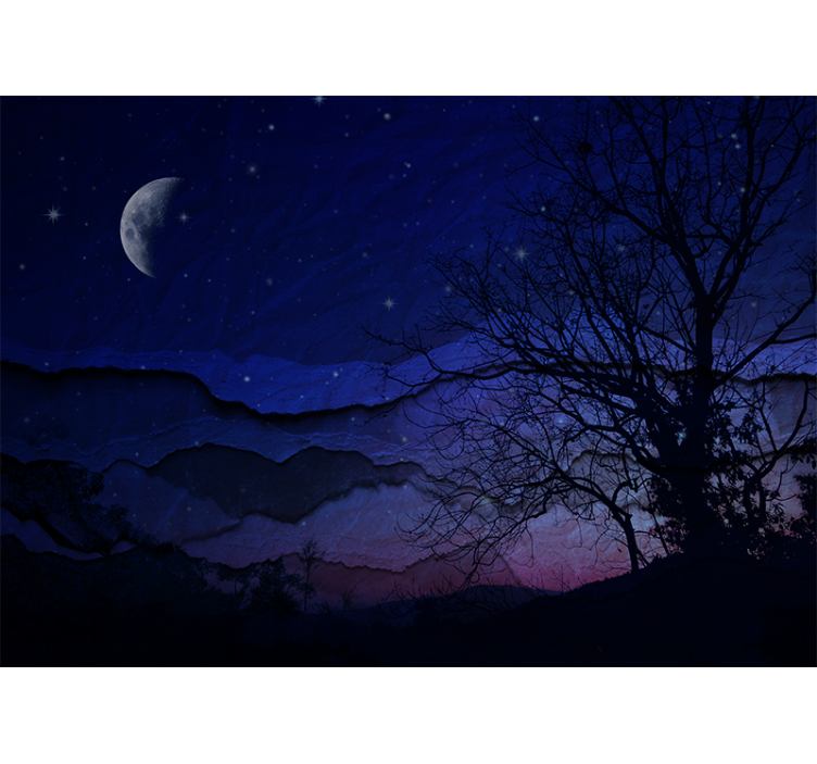 Sky mural wallpaper moonlit night sky - TenStickers