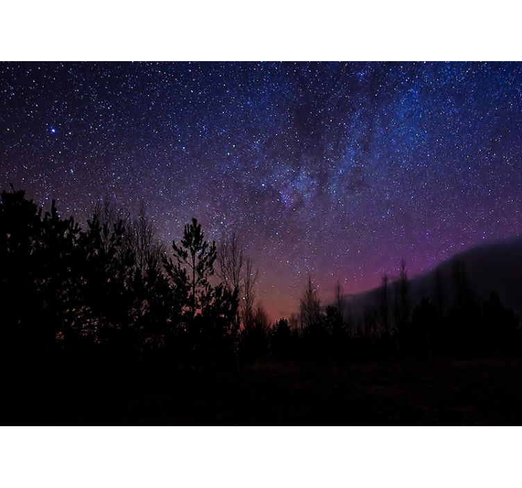 Space wall mural celestial evening canvas - TenStickers