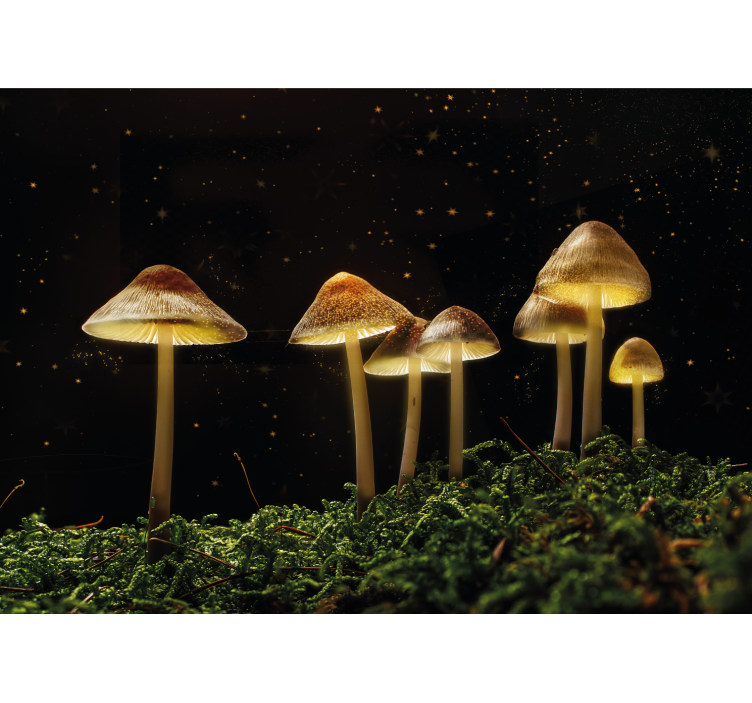 Nature wall mural glowing mushroom landscape - TenStickers