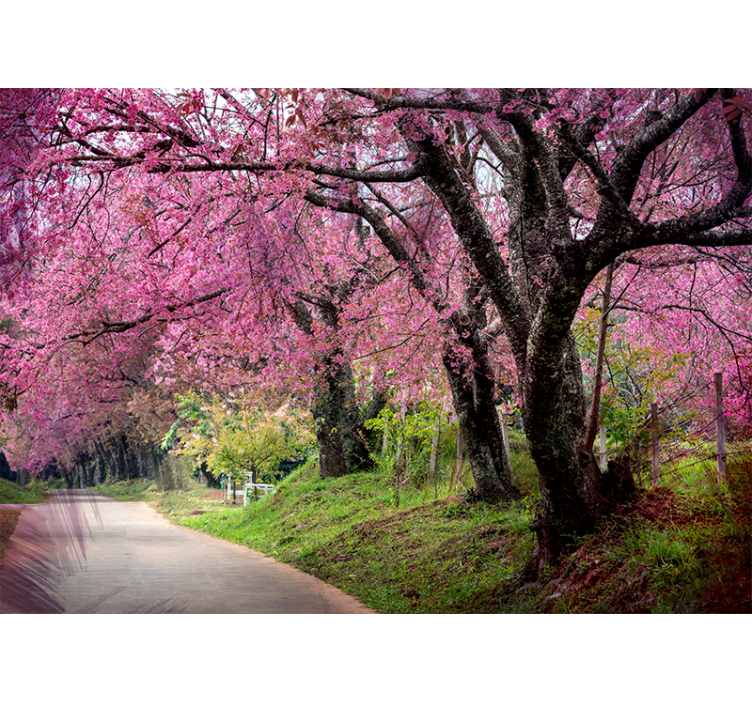Flowers wall mural blossom path - TenStickers
