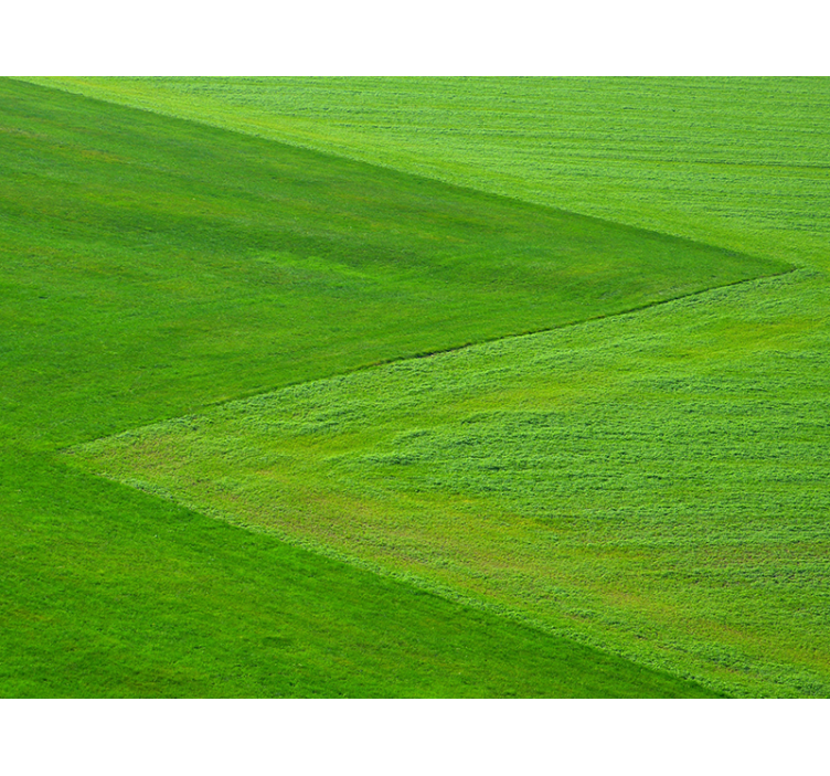 Pure green fields nature wall mural - TenStickers