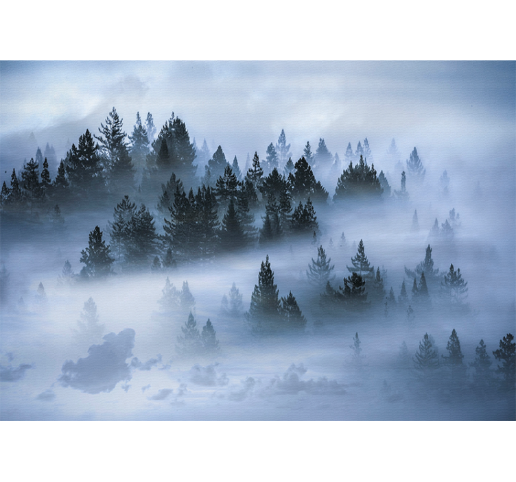 Nature wall mural hazy evergreen woods - TenStickers