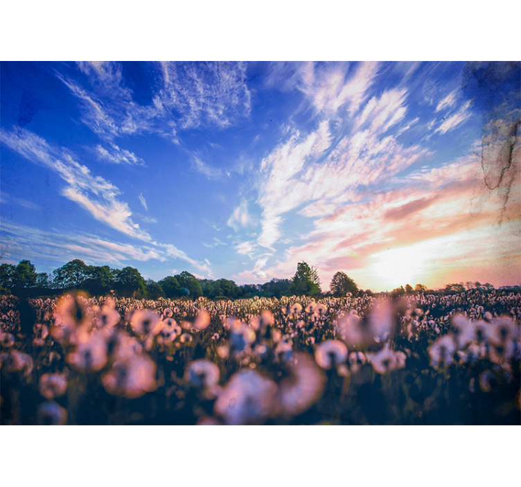 Dandelion field serenity flowers wall mural - TenStickers