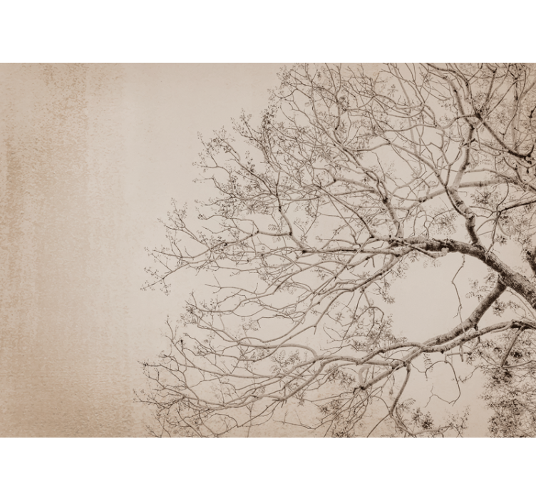 Trees wall mural beautiful branching silhouette - TenStickers