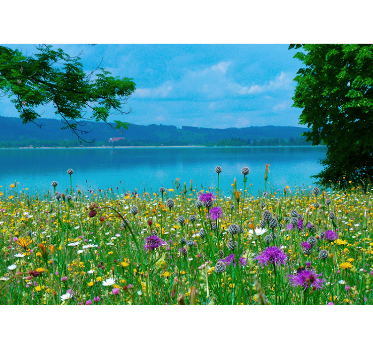 Flowers wall mural lush meadow flora - TenStickers