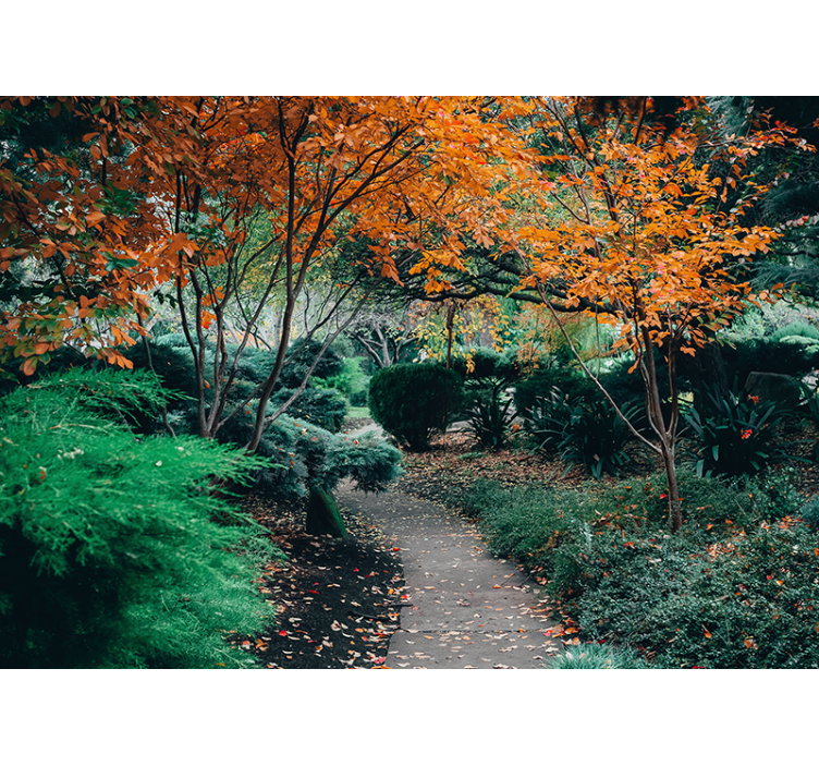 Nature wall mural pathway among trees - TenStickers