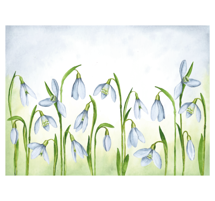 Other flowers wall mural snowdrop bloom - TenStickers