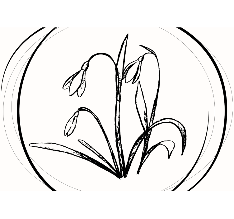 Flowers wall mural snowdrop flower outline - TenStickers