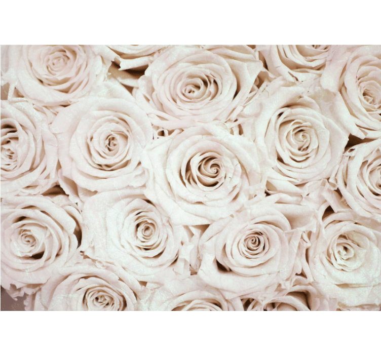 Flowers wall mural soft rose arrangement - TenStickers