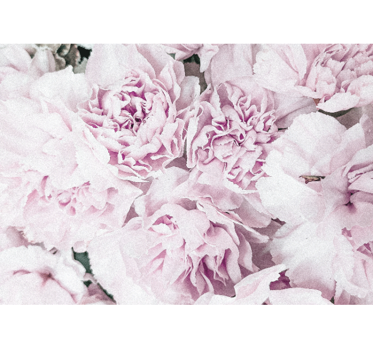 Flowers wall mural soft pink blossoms - TenStickers