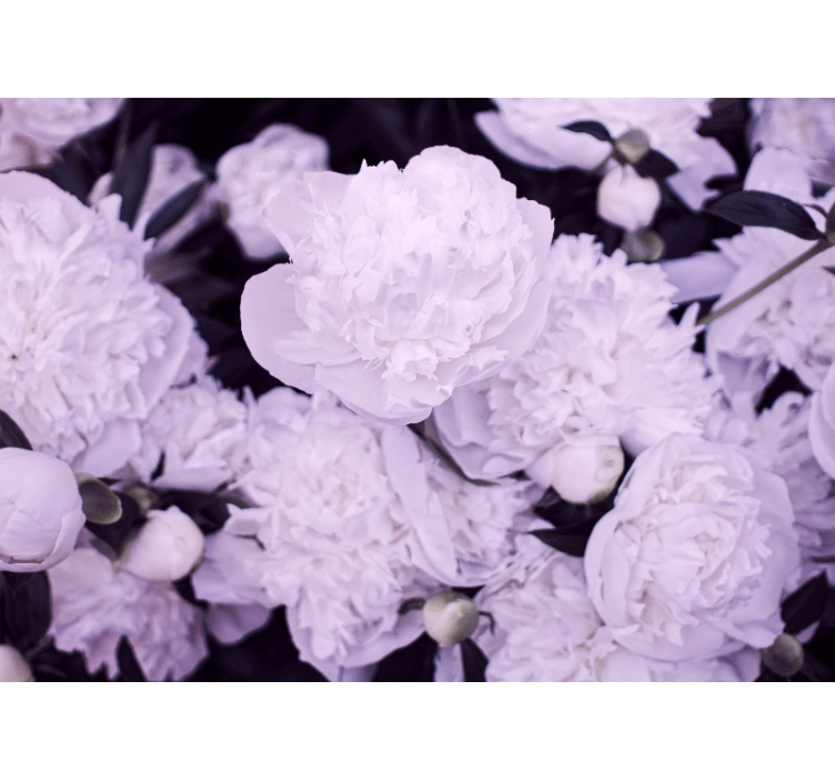 Flowers wall mural lavender peony blooms - TenStickers