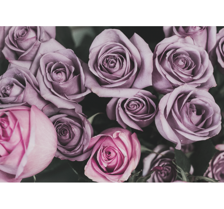 Flowers wall mural lavender rose bouquet - TenStickers