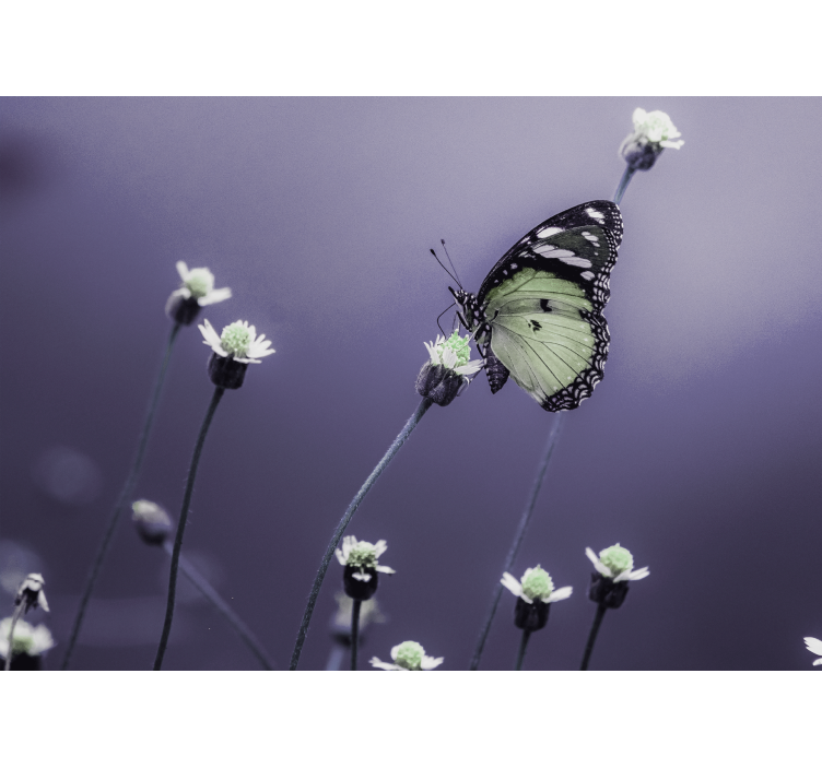 Flowers wall mural butterfly on flowers - TenStickers