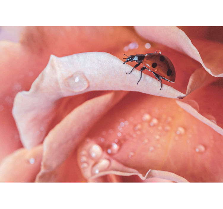 Flowers wall mural ladybug on petal - TenStickers