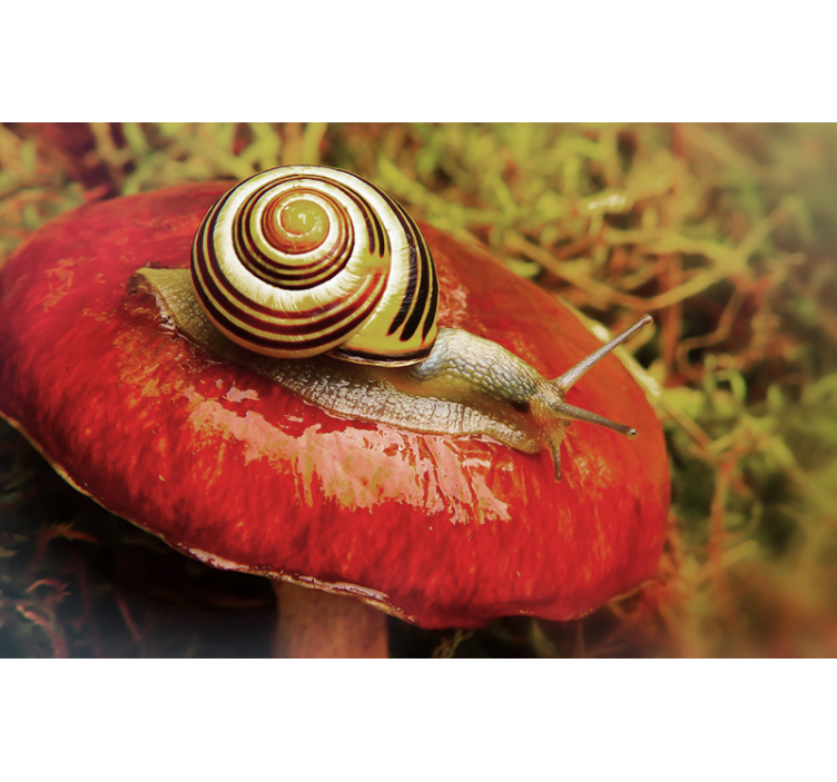 Other wall mural animals snail on mushroom - TenStickers