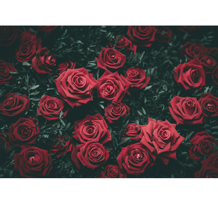 Flowers wall mural romantic red roses design - TenStickers