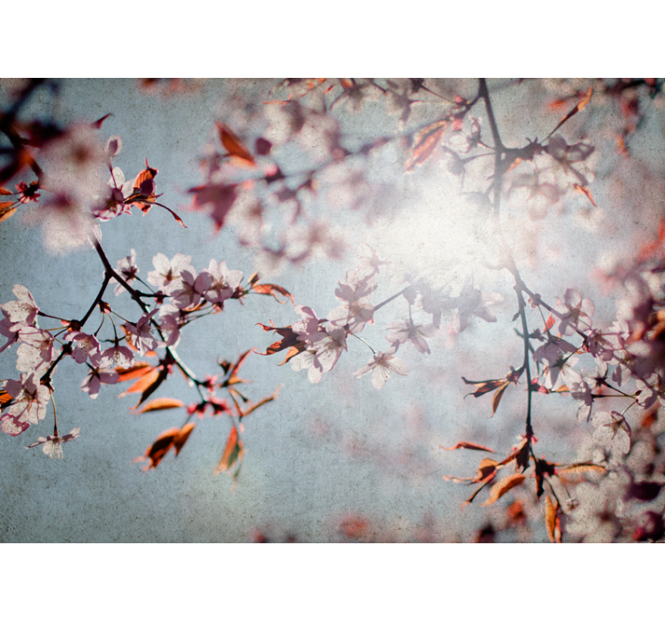 Flowers wall mural sakura branches - TenStickers