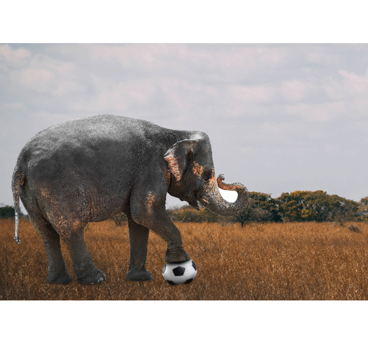 Other wall mural animals elephant playing soccer - TenStickers
