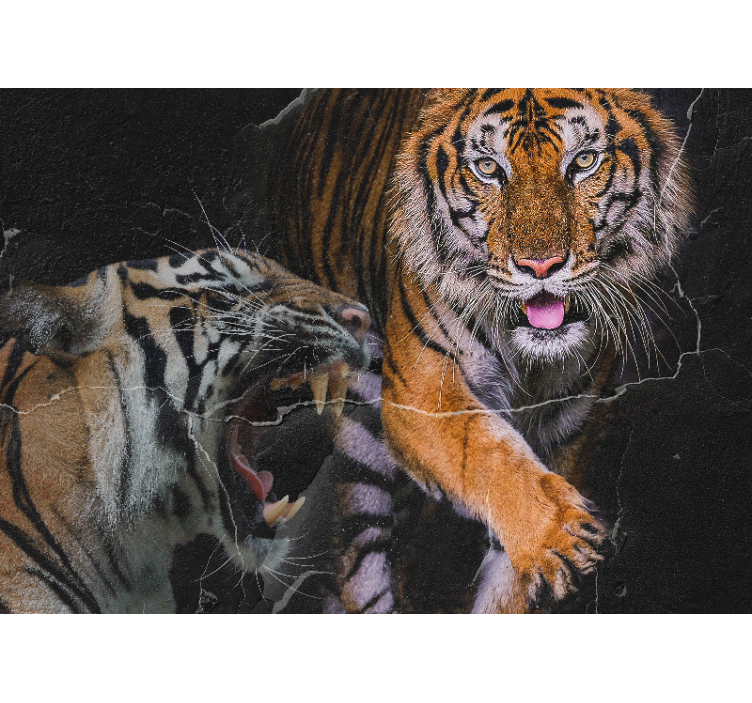Wall mural animals majestic tiger encounter - TenStickers
