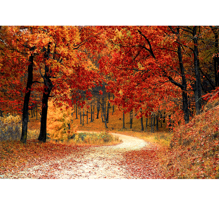 Nature wall mural autumn woodland pathway - TenStickers