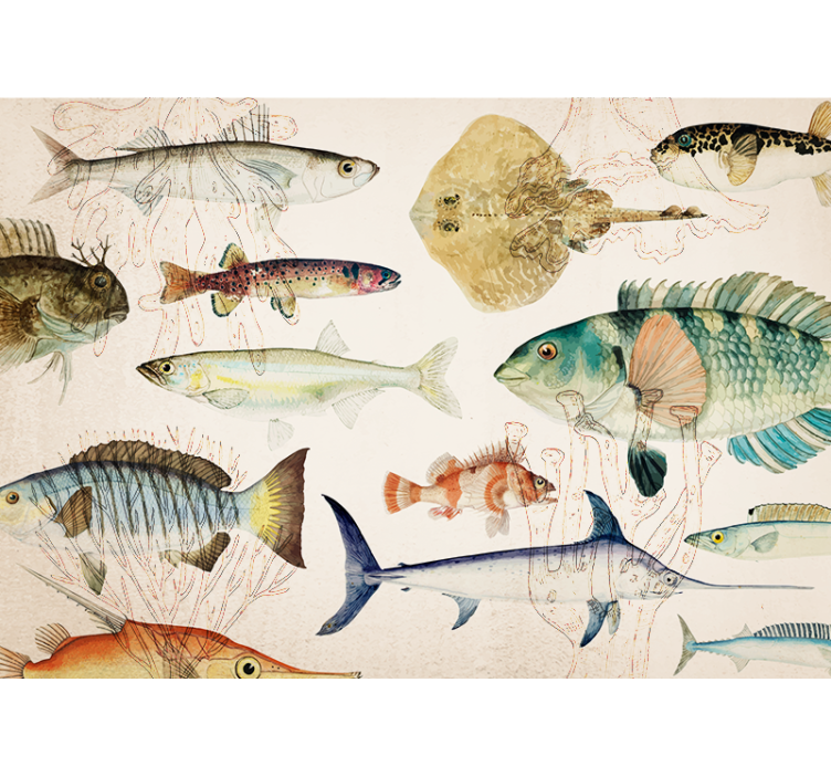 Wall mural animals marine life collection - TenStickers