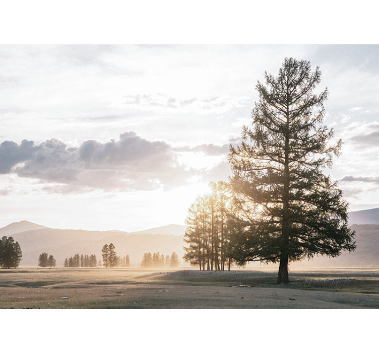 Nature wall mural serene pine silhouette - TenStickers