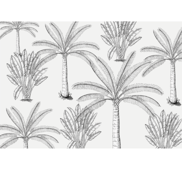 Trees wall mural palm tree illustrations - TenStickers