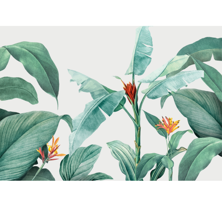 Other flowers wall mural tropical plant display - TenStickers