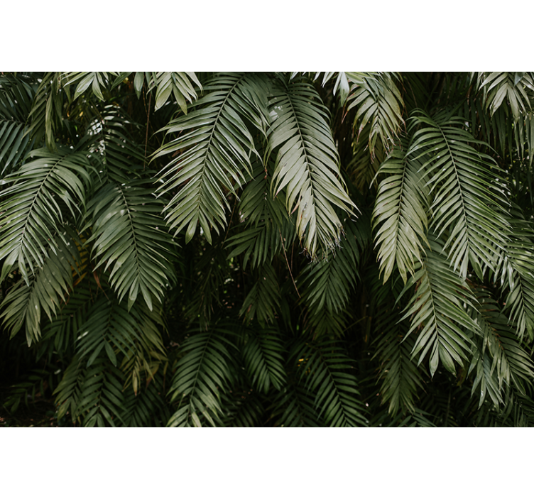 Nature wall mural tropical greenery design - TenStickers