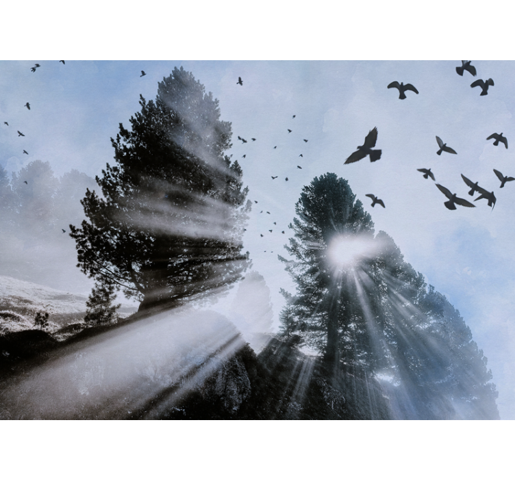 Radiant orest rays with birds forest wall mural - TenStickers