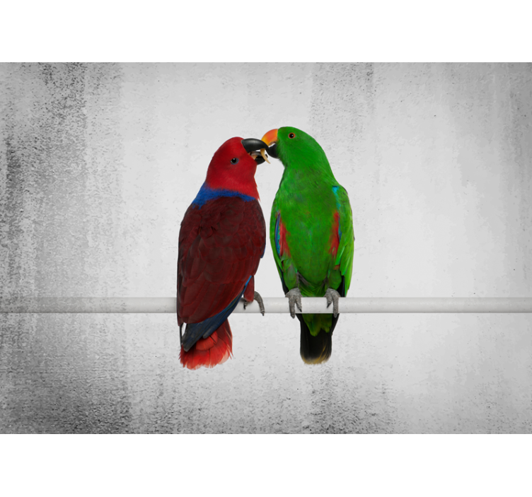 Other wall mural animals colorful parrots interaction - TenStickers