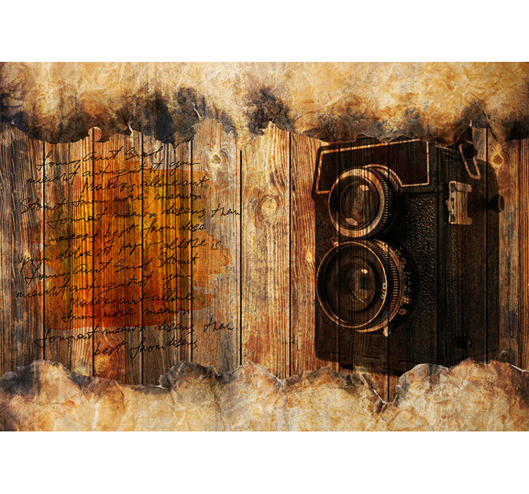 Vintage camera aesthetic wall mural painting - TenStickers