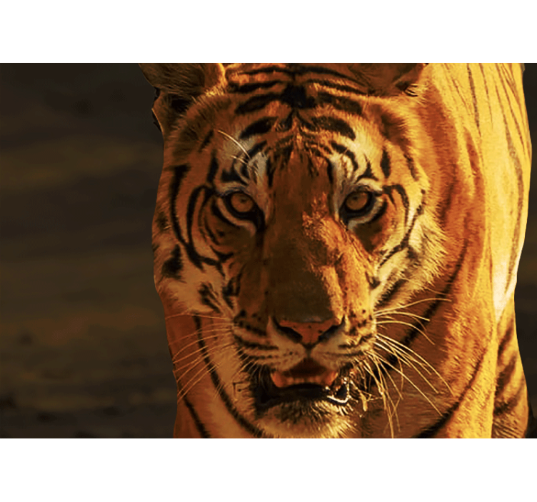 Wall mural lion majestic tiger stare - TenStickers