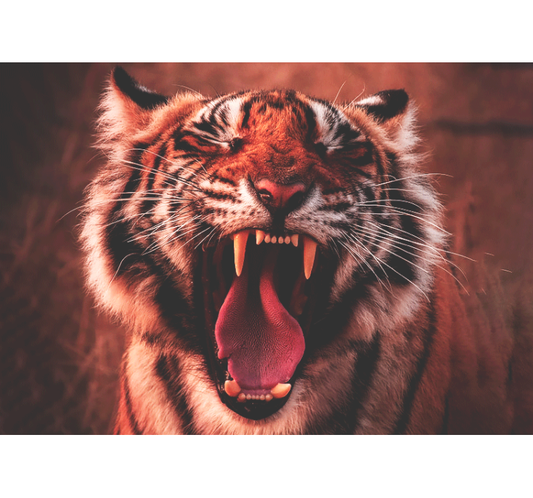 Other wall mural animals majestic tiger roar - TenStickers