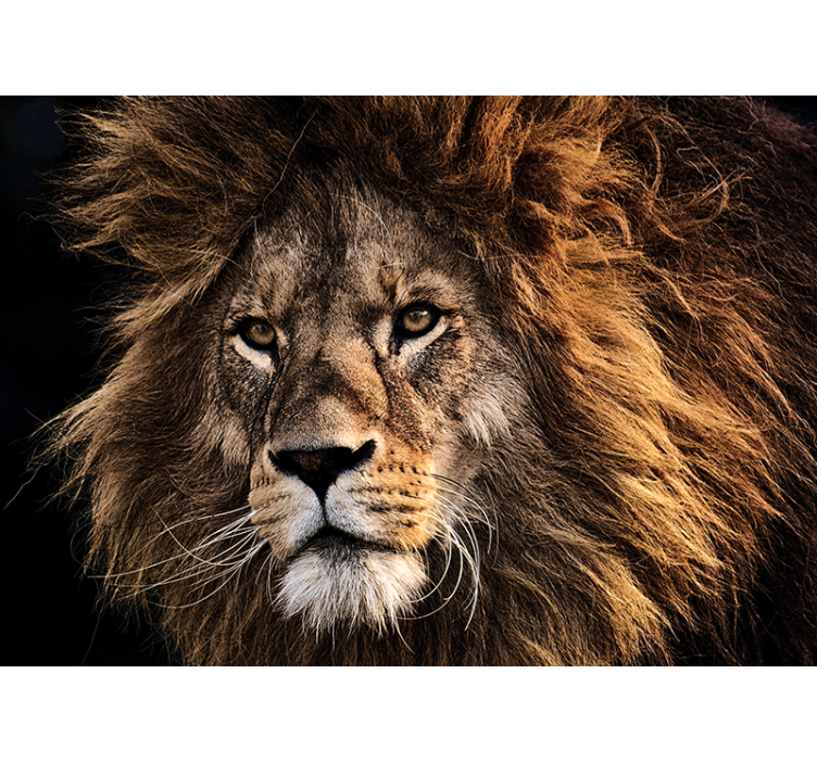 Wall mural lion majestic lion art - TenStickers