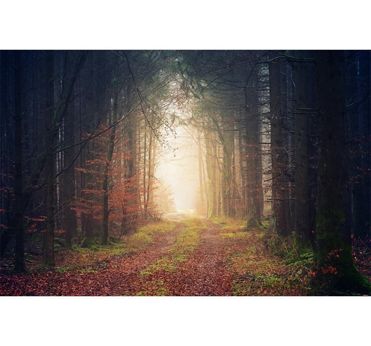 Autumn Road Forest Wall Mural Decor - TenStickers