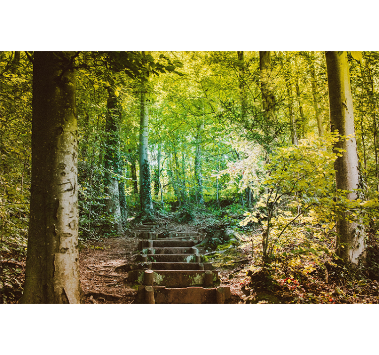 path with stairs Forest Wall Mural Decor - TenStickers
