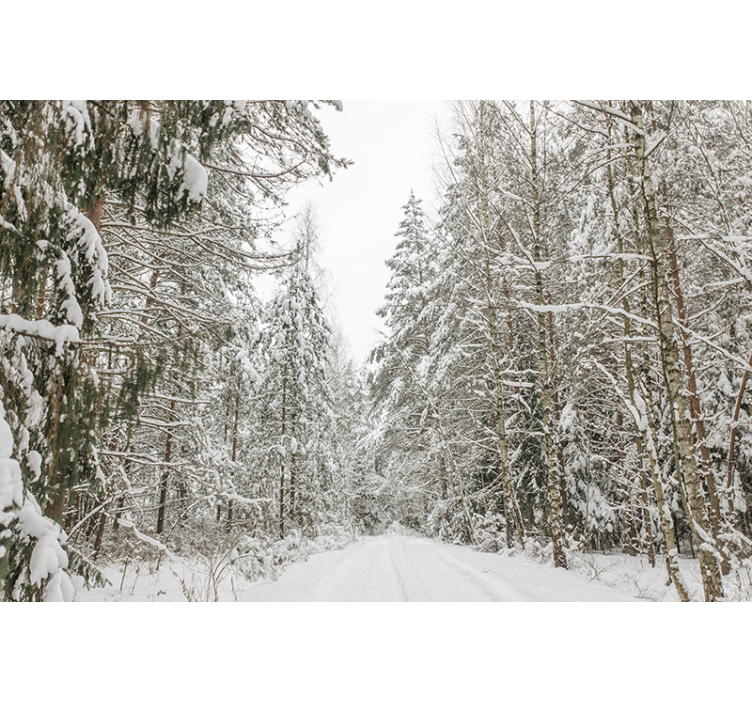 Winter Day Forest Wall Mural Decor - TenStickers