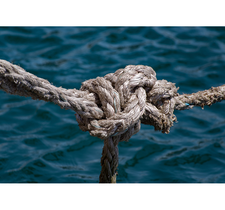 Nautical Knot Strength sea wall mural - TenStickers