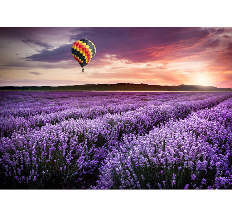 Lavender Field Tranquility flowers wall mural - TenStickers