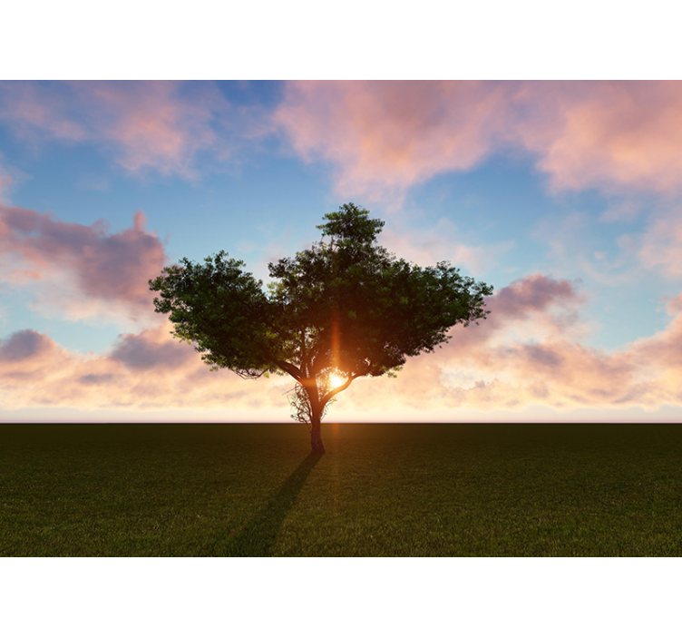 Lonely tree at sunrise wall mural - TenStickers