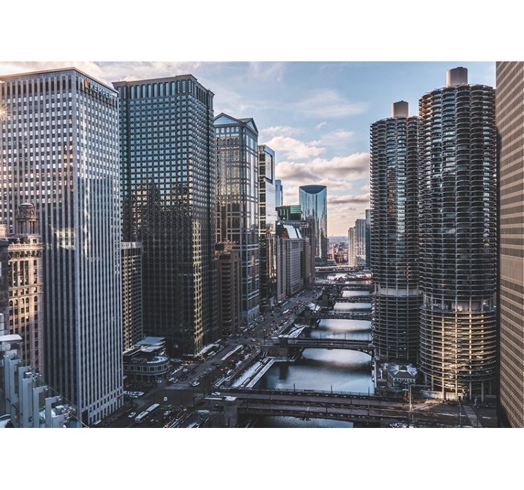 Wall mural city chicago skyline view - TenStickers