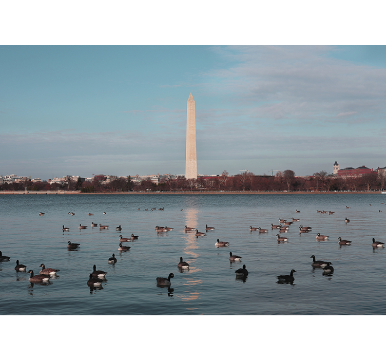 Wall mural city washington monument reflection - TenStickers